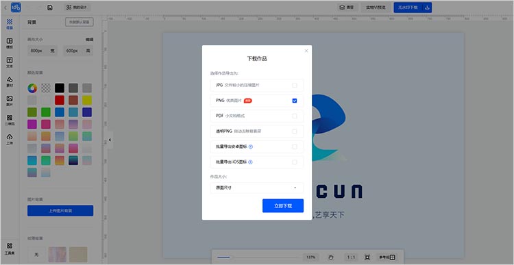 多样化的输出格式